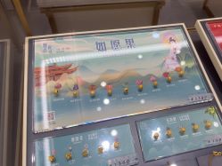 -结绳记(朝阳大悦城店)