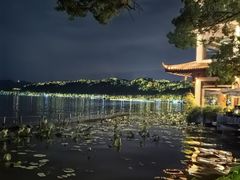 -湖畔居茶楼(湖滨店)