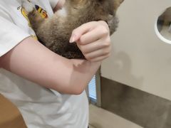 -美迦爱-牙专科·兔科·骨科诊疗中心(北苑店)