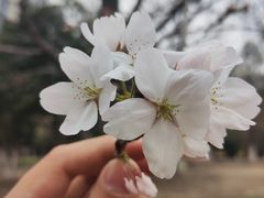 -堤角公园