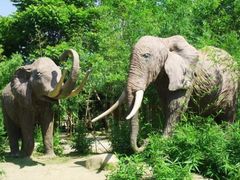 -揭东万竹园旅游景区