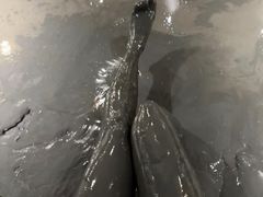 -梅州天地人花园酒店(梅县人民广场店)