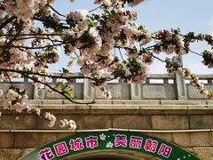 -元大都城垣遗址公园