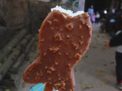 -小洲村