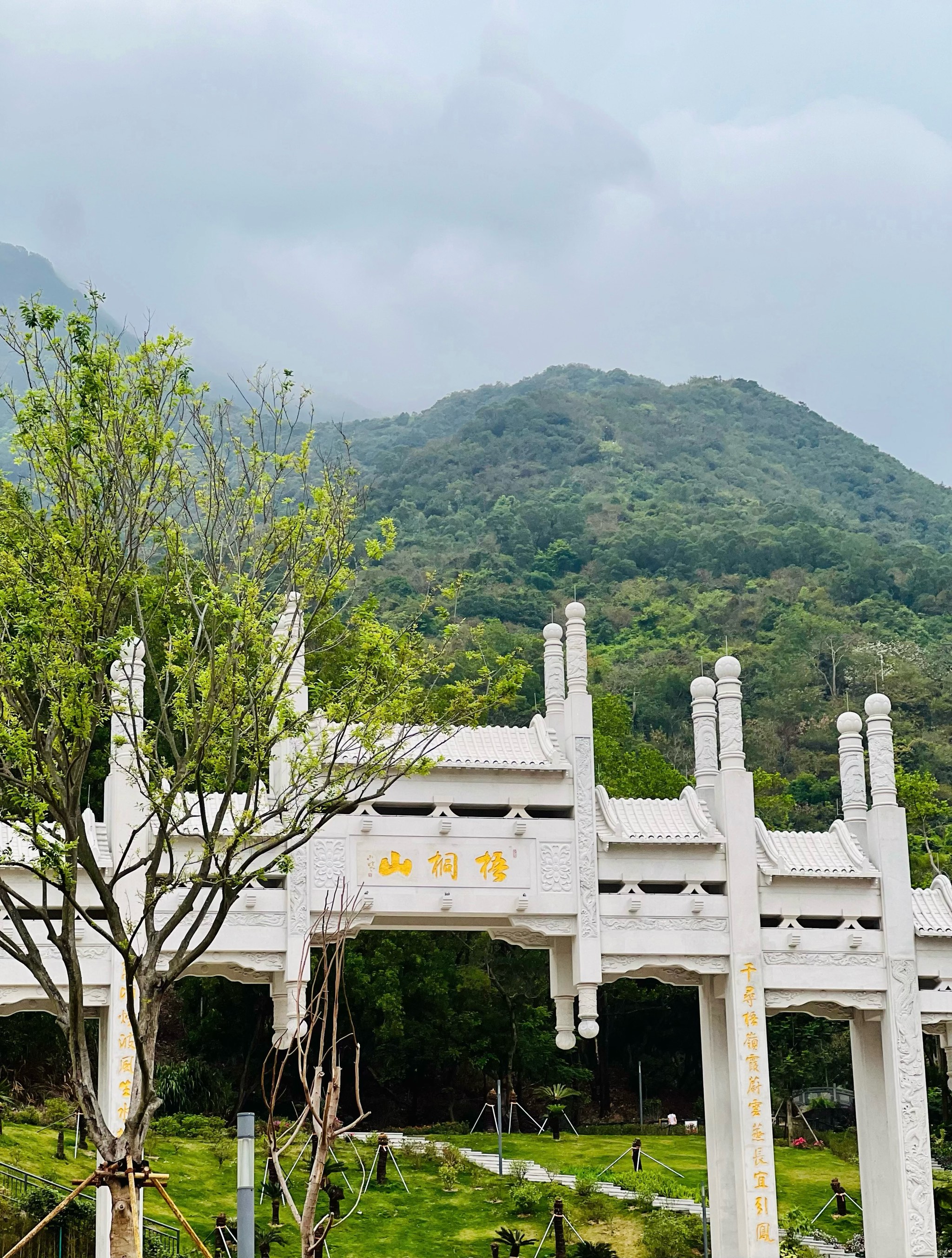 深圳梧桐山要门票吗图片