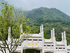 -梧桐山风景名胜区