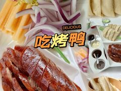 -梧桐