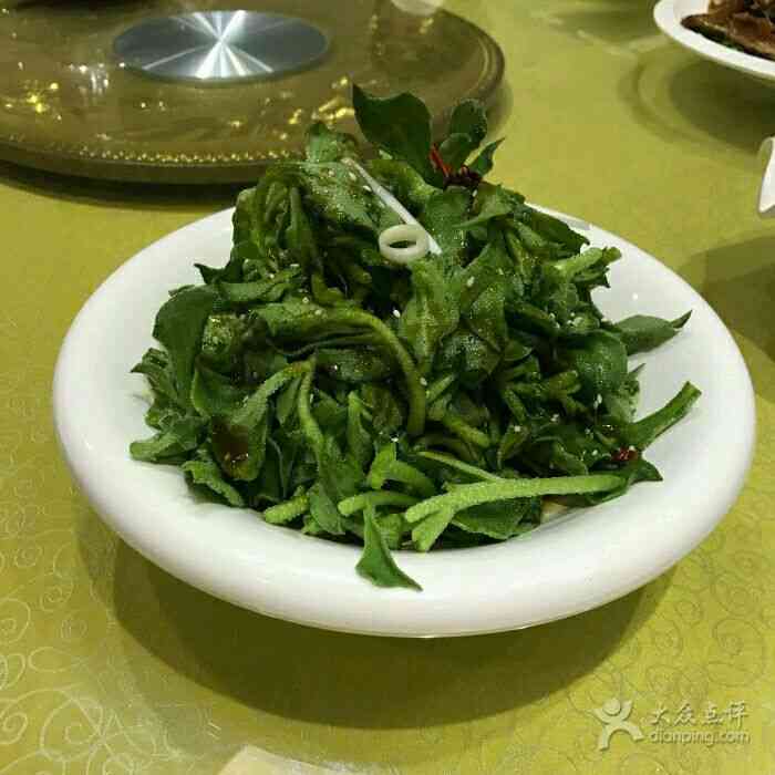 嘉祥菜馆"嘉祥县城的老牌菜馆,当地的特色鲁菜总结-大众点评移动版