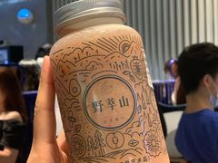 -野萃山·潮汕厚果汁(十亩地店)