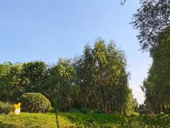 -莫子山公园