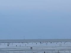 -南汇新城海滩