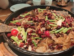 -老板恋上鱼(振华商厦店)