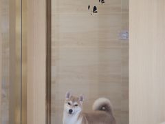 -Double Rui宠物酒店
