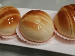 -黄埔华苑酒家(黄埔总店)