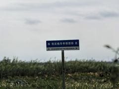 -七的湖·晚芳亭·阳澄湖农家菜·大闸蟹(莲花岛店)