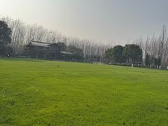 -合肥滨湖国家森林公园