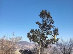 -北京鹫峰国家森林公园