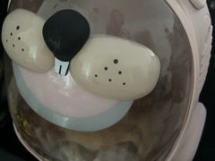 -瑞鹏宠物医院华南总院·夜诊·心脏科·骨科