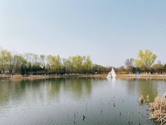 -永定河休闲森林公园