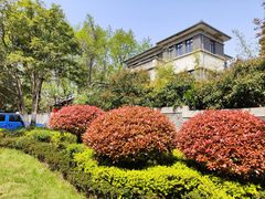 -颐和路民国时期公馆风貌区