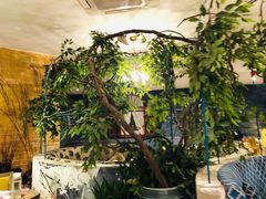 -茉莉餐厅(包河万达店)