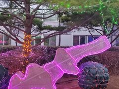 -南宫五洲植物乐园