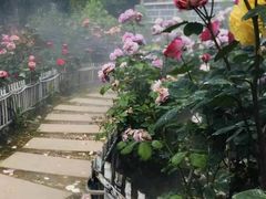 -玫瑰庄园·自助烧烤·烤全羊·团建拓展(龙泉山店)
