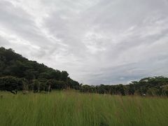 -红花山公园