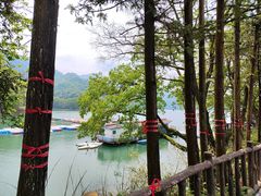 -酒仙湖景区