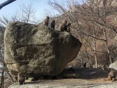-崂山巨峰游览区