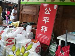 -秀丽东方