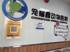 -宠福鑫动物医院(城北分院)