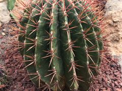 -南通洲际绿博园