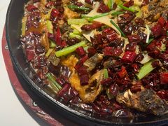 -老板恋上鱼(高新万达店)