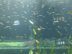 -海合安成都极地海洋公园