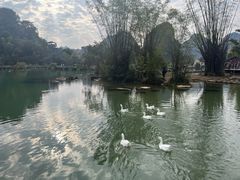 -靖西鹅泉风景区