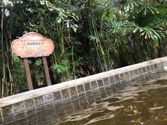 -龙达温泉生态城