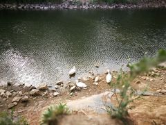 -北京张裕爱斐堡酒庄
