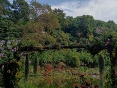 -深圳仙湖植物园