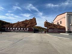 -茅兰沟国家森林公园