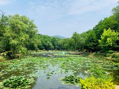 -棒棰岛宾馆景区