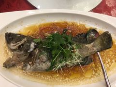 -深圳圣淘沙酒店(翡翠店)
