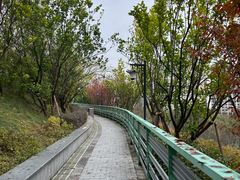 -重庆彩云湖湿地公园