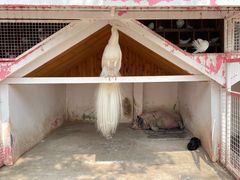 -J Create城市露营咖啡·简餐·宠物(上海动物园店)