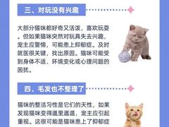 -lincat·猫舍(广州店)
