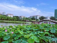 -西海子公园