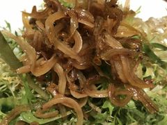 -峨嵋小镇·川菜(正定朗华店)