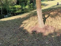 -柳莺湖上·湖景餐厅·江南菜(西湖店)