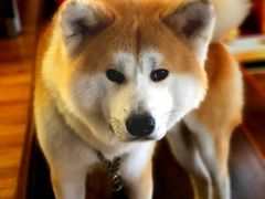 -YCHL Studios健身工作室(市二宫店)