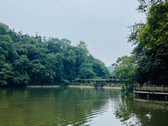-青城山